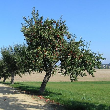 Fewo Muehlehof Konigshain Buitenkant foto